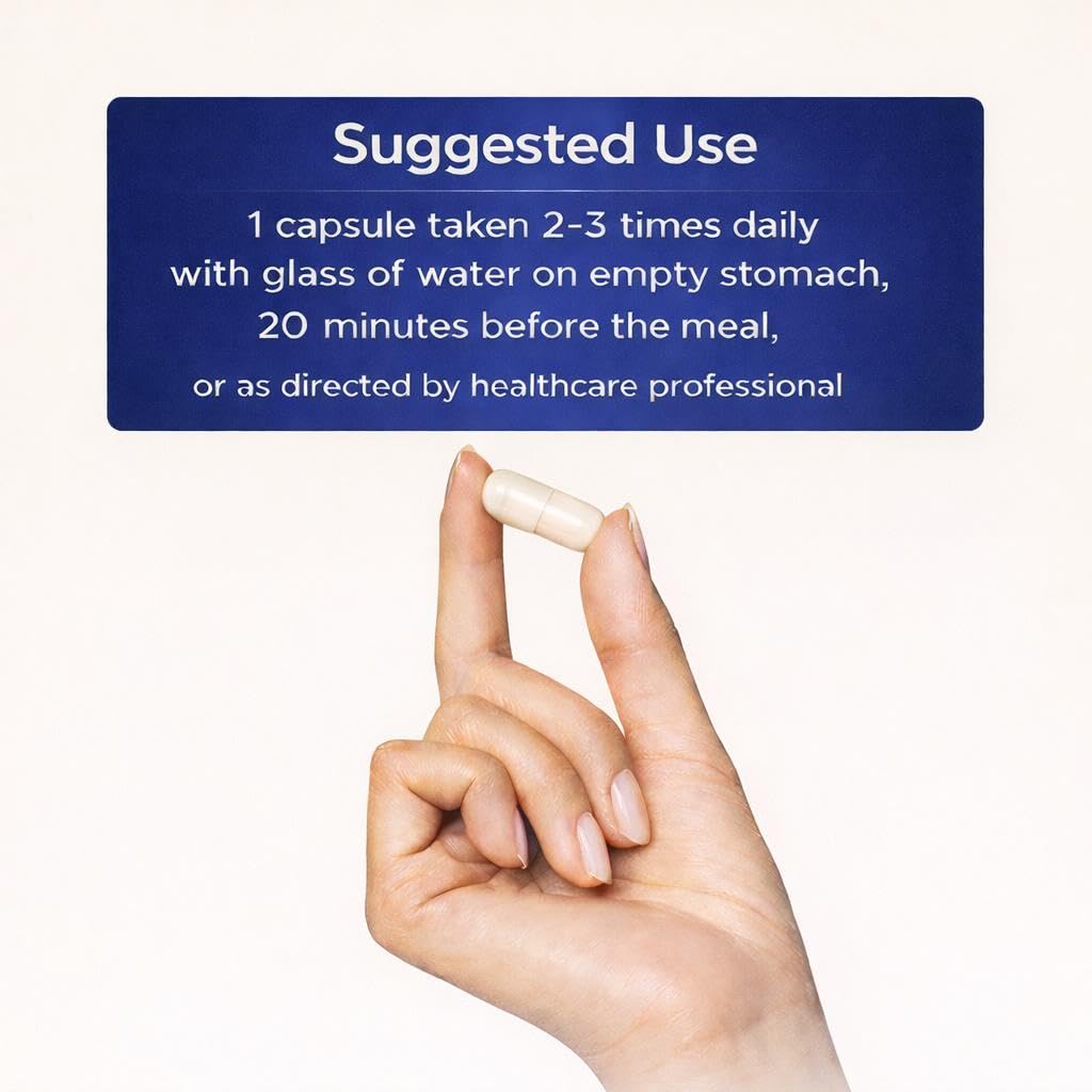 AMVILAB Proteolytic Enzymes 3X with Serrapeptase, Trypsin & Chymotrypsin Capsules, 90 Count