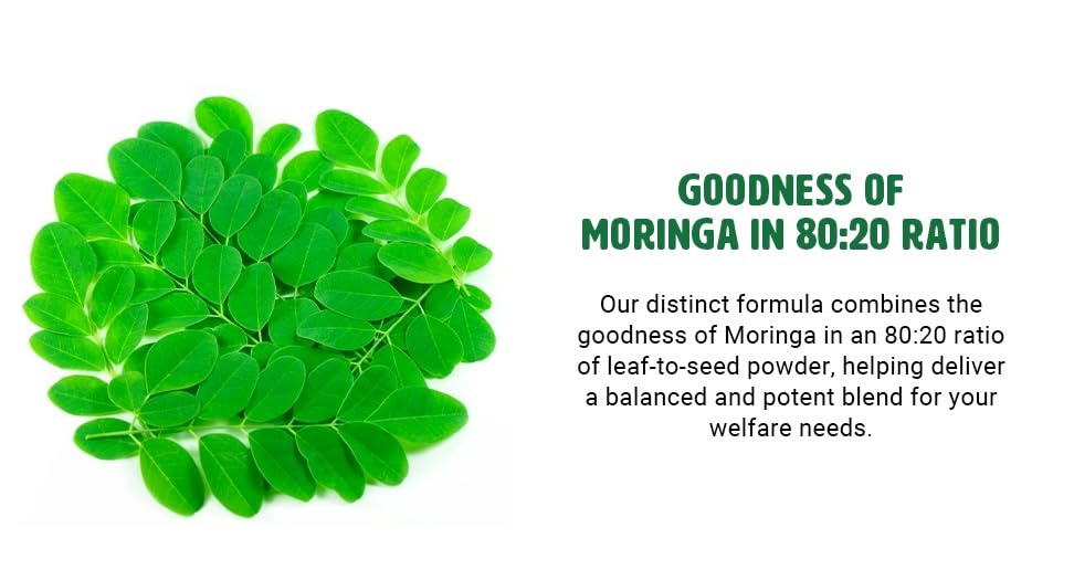 WAY 4 ORGANIC W4O Moringa Oleifera Leaf and Seed Powder (80:20) Ratio Capsule 1 Count