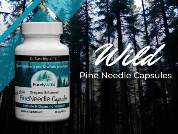 PURELY WILD Wild Pine Needle Capsules with Spruce, Black Cumin & Oregano, Immune Support & Respiratory Wellness, 90 Capsules