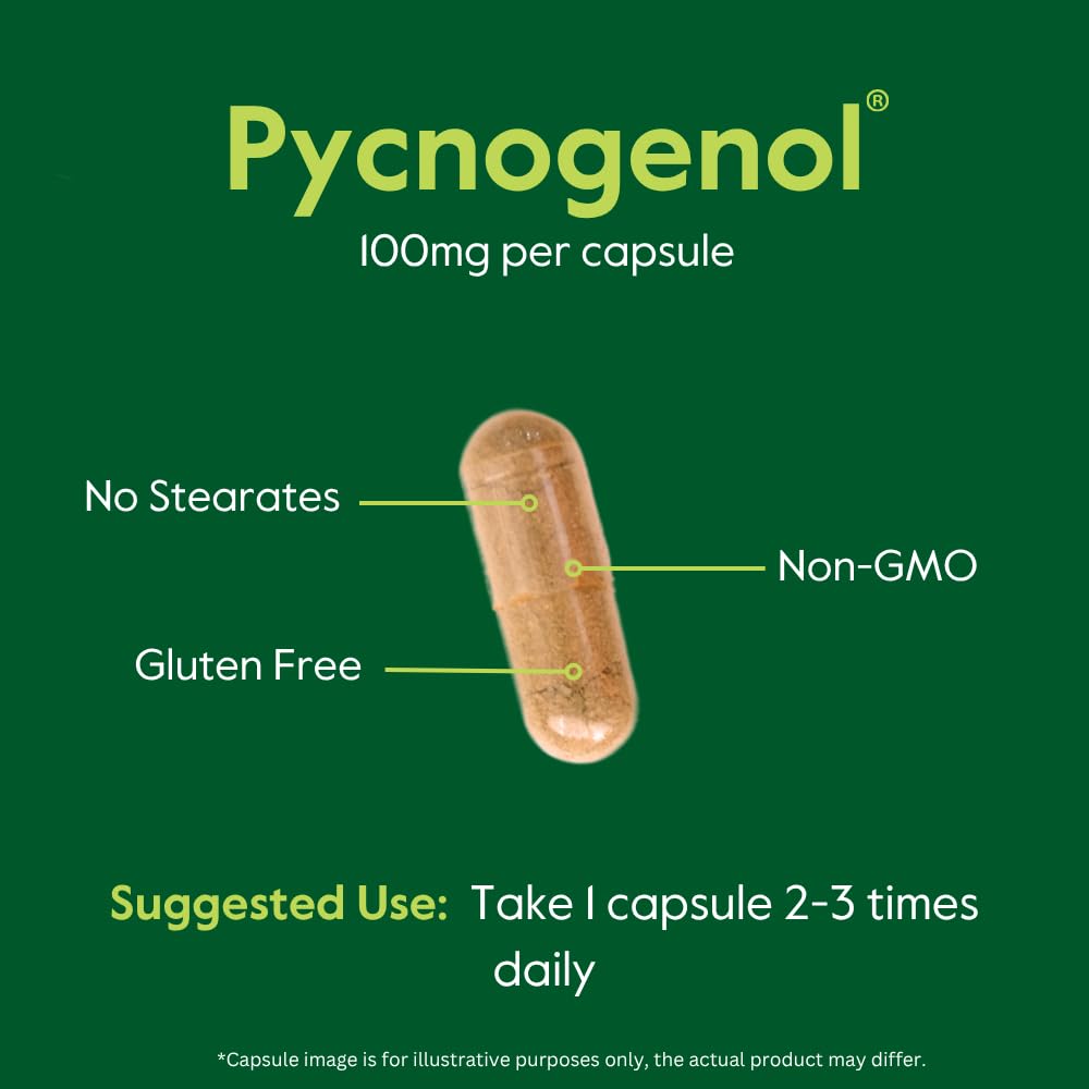 BESTVITE Pycnogenol 100mg Capsules, 120 Count