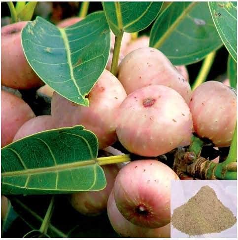 Nutranix Arasam Pazham Powder 3.5274