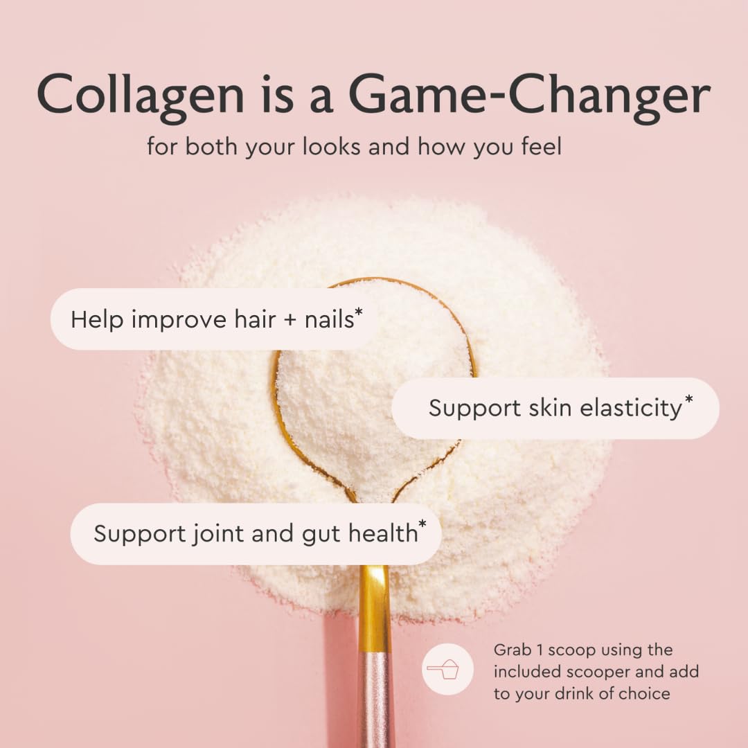 Alaya Naturals Multi Collagen Powder - Type I, II, III, V, X Hydrolyzed Collagen Peptides Protein Powder Supplement with MSM + GC (Unflavored) - NSF Certified, 13.55 Ounce