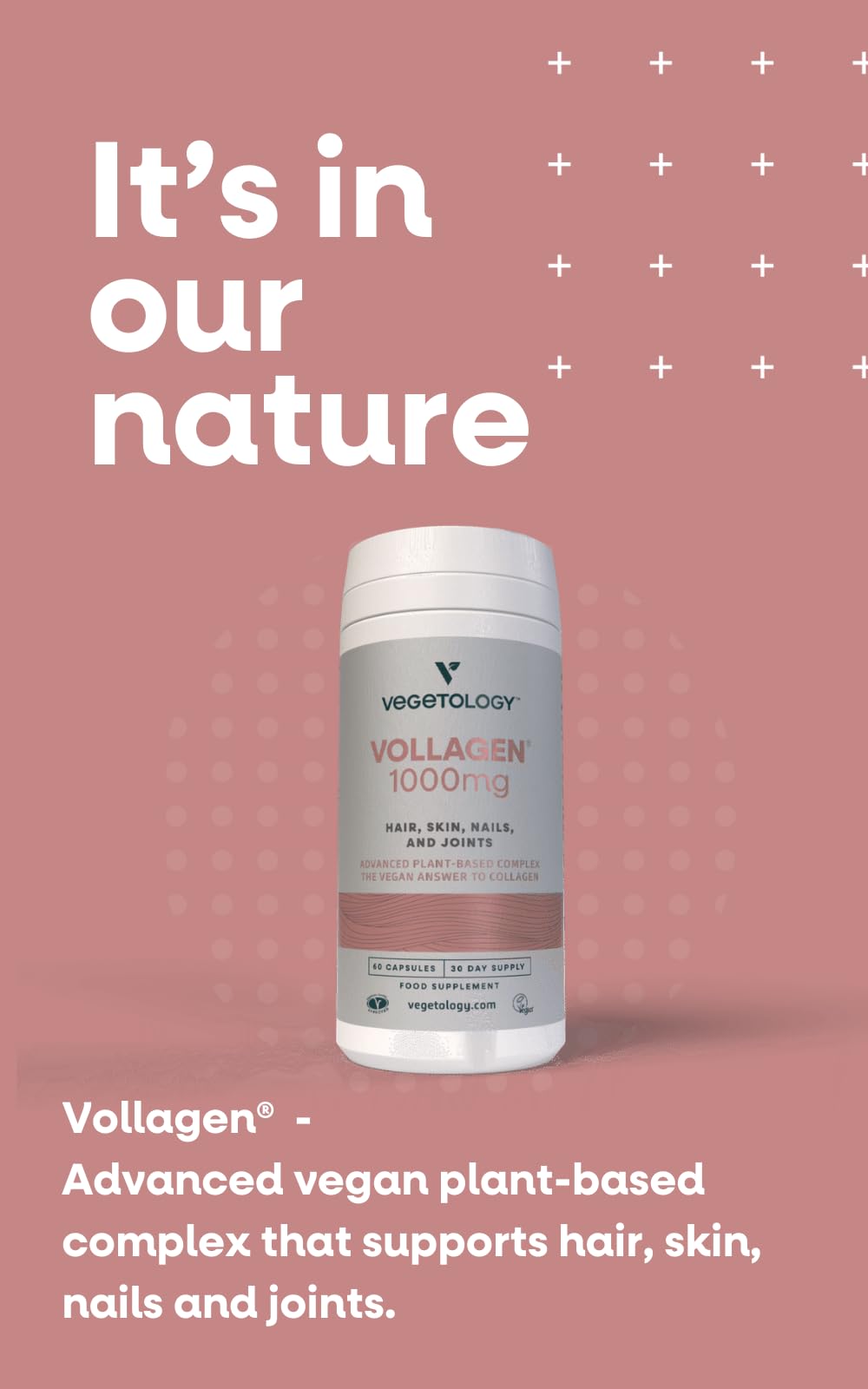 VEGETOLOGY Vollagen Plant Based Complex Capsules 60