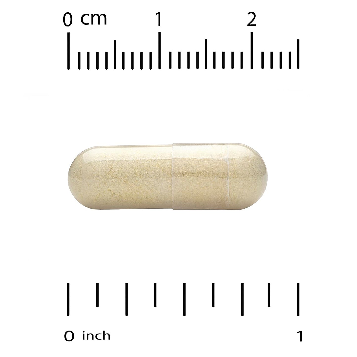 Vitacost L-Carnitine Fumarate 500 mg Capsule, 60 Capsules