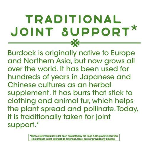 Nature's Way Burdock Root 475 mg per Capsule, 200 Capsules