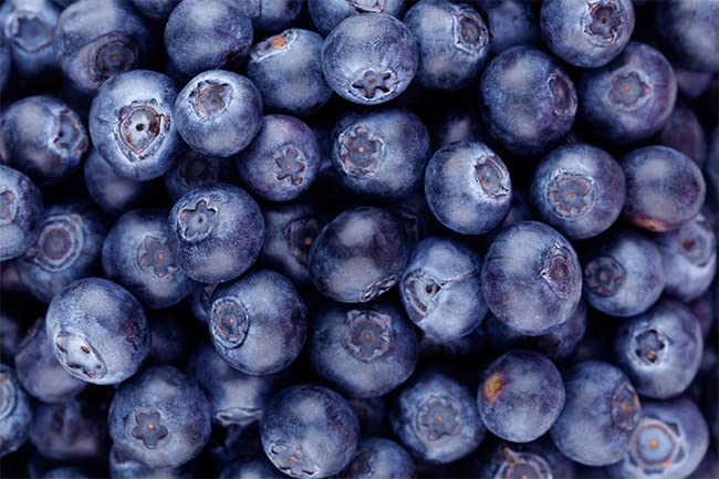 Jovvily Bilberry Extract Powder 8 oz