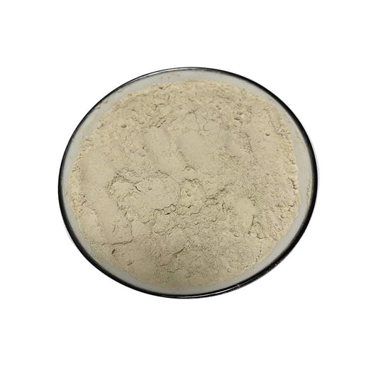 CHEWYZ Gastrodia Powder 1