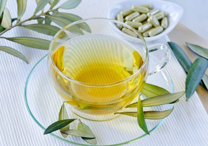 bodi Olive Leaf Powder 16 Ounce