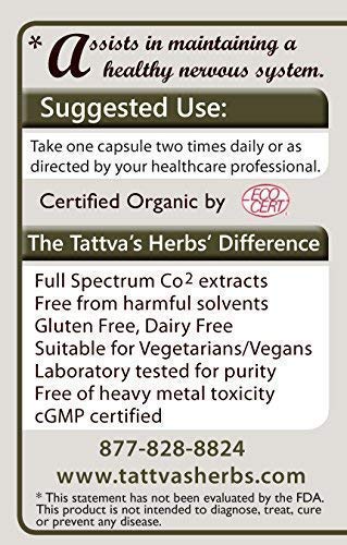 Tattva's Herbs Organic Mucuna Pruriens – Natural L-Dopa, Dopamine Support, Vegan & Gluten-Free, 240 Capsules (2-Pack)
