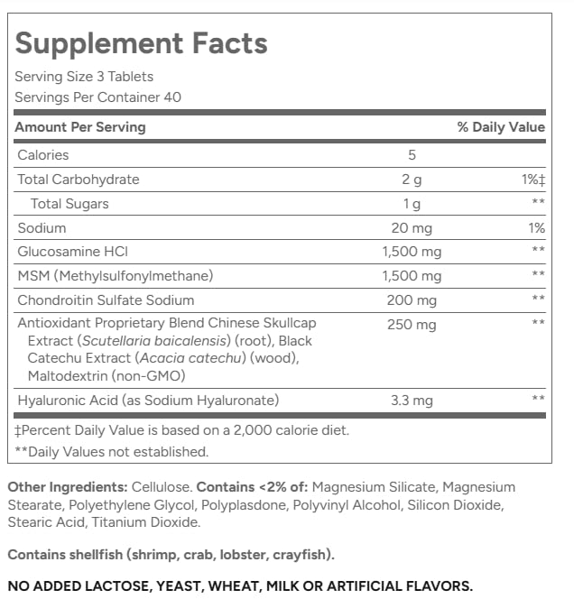 21st Century Glucosamine Chondroitin Advanced, Plus 1500mg MSM, 120 Tablets