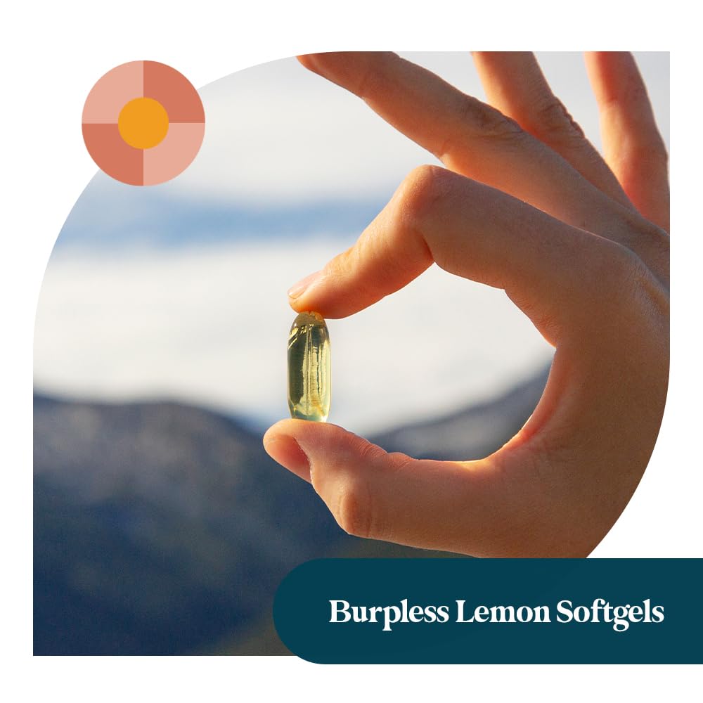 Pattern Wellness Omega 3 Softgels 60 Softgels
