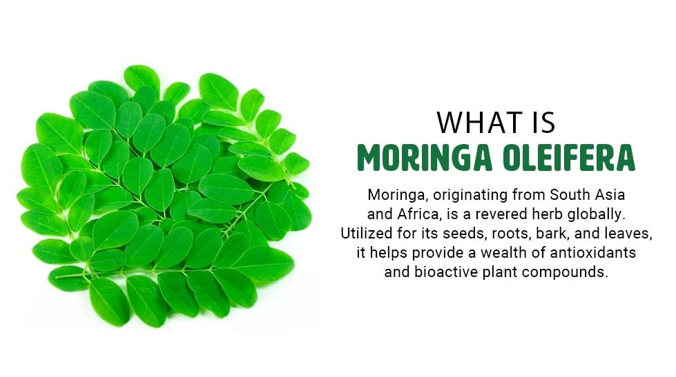 WAY 4 ORGANIC W4O Moringa Oleifera Leaf and Seed Powder Tablet, 1 Tablet