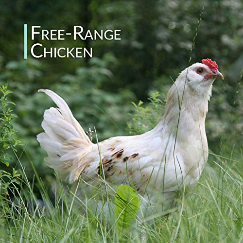 Chicken Bone Broth Powder Organic Free Range Pure Protein Non-Gelling Type, 16 Fl Oz