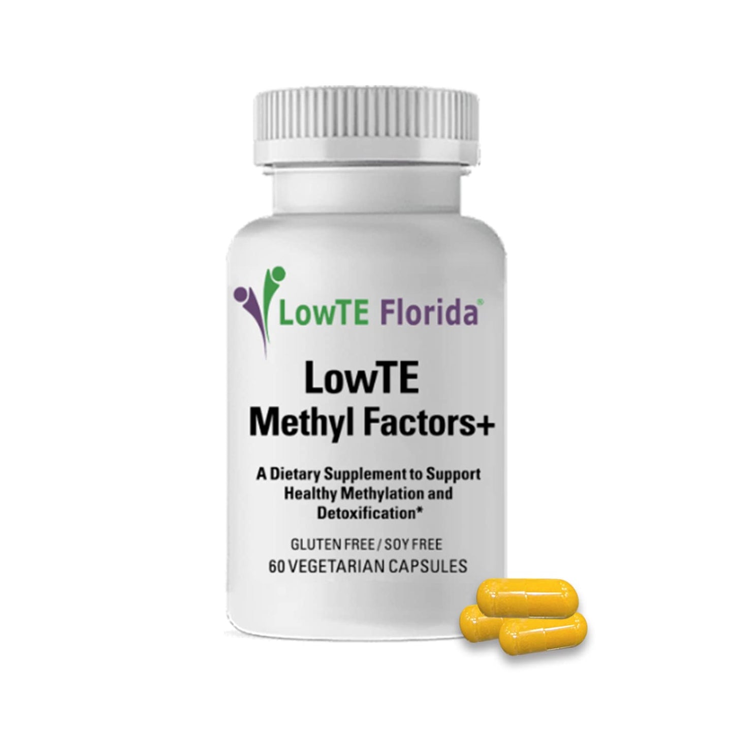 LowTE Florida Methyl Factors+ with B Vitamins, Folate & Riboflavin, 60 Capsules