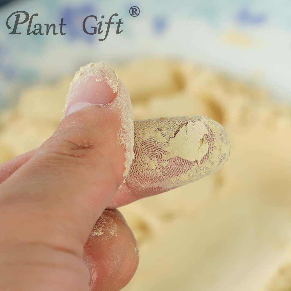 Plant Gift Hericium Erinaceus Powder, Lions Mane Mushroom Powder, 3.53 oz