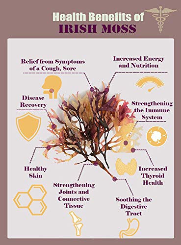 Nature Of Love Sea Moss/Irish Moss Capsules, Natural, Vegan, Organic, Non-GMO, 100 Capsules