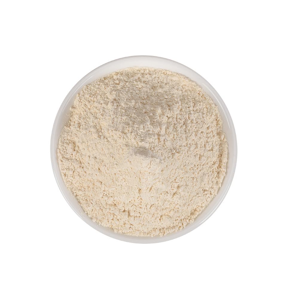 CHEWYZ Garlic Powder Organic 1 Count