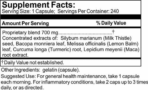 Time Laboratories Radical Resilience Capsules 240 Capsules