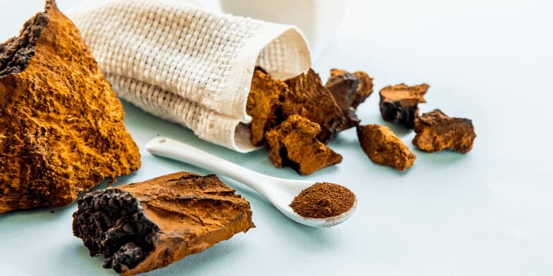 Lost Empire Herbs Chaga Mushroom Powder 8:1 Dual Extract from Real Mushrooms Not Mycelium, 1.0582 oz