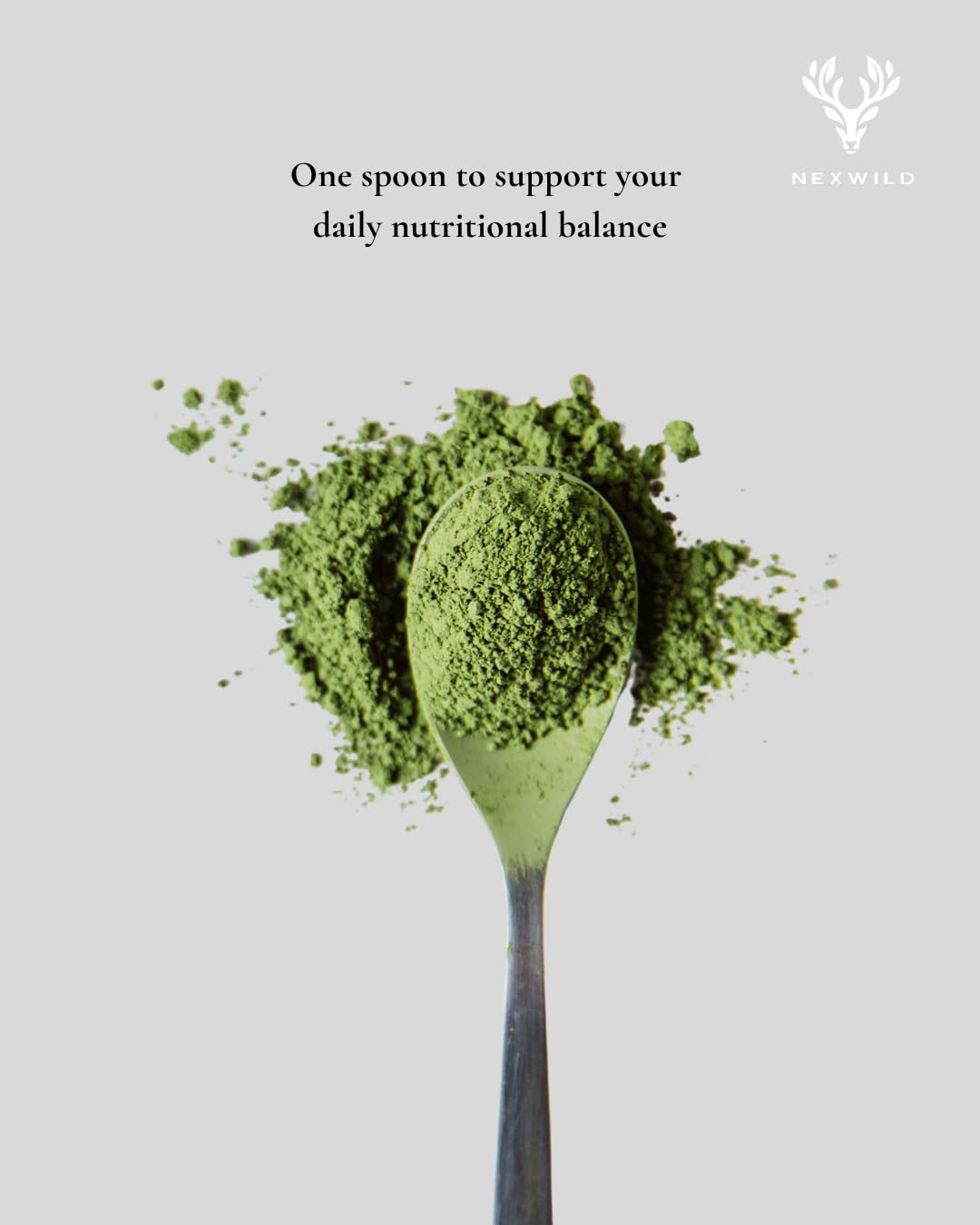 Nexwild Organics Moringa Oleifera Leaf Powder 16 Ounces