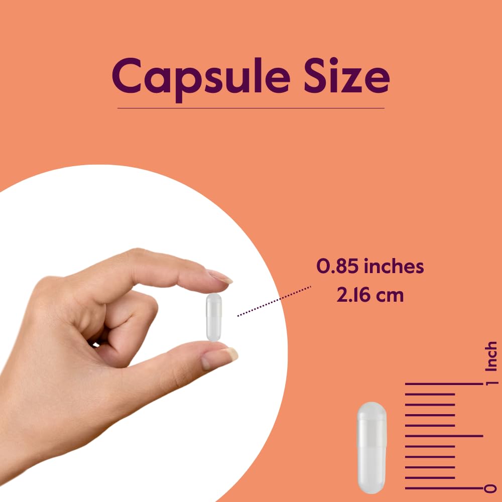 BESTVITE Acetyl L-Carnitine 500mg Capsule 240