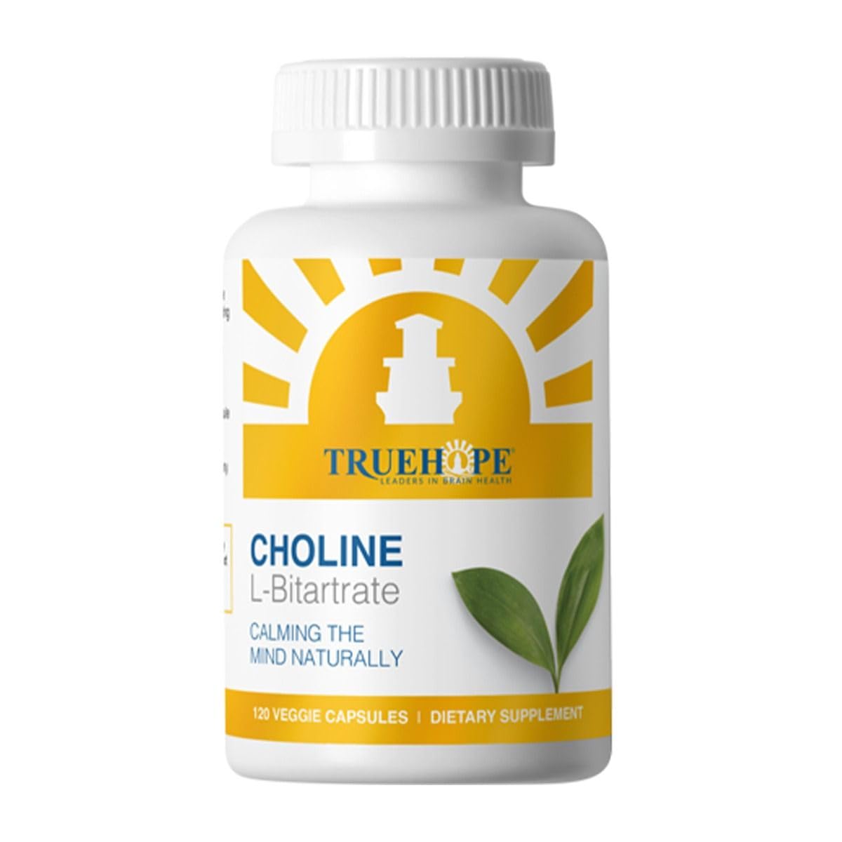 Truehope Choline L-Bitartrate Brain & Liver Support Supplement – High Absorption from Natural Bitartrate Form | Cognitive Function & Memory, Capsules 120