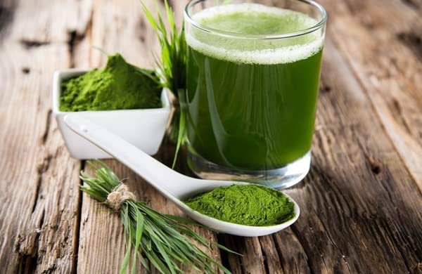 bodi Blue Green Algae AFA Powder 16 Ounce