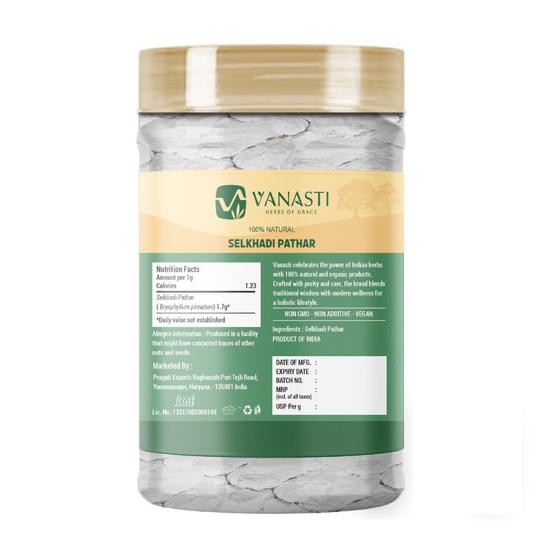 VANASTI Selkhadi Pathar Powder 3.52 Ounce