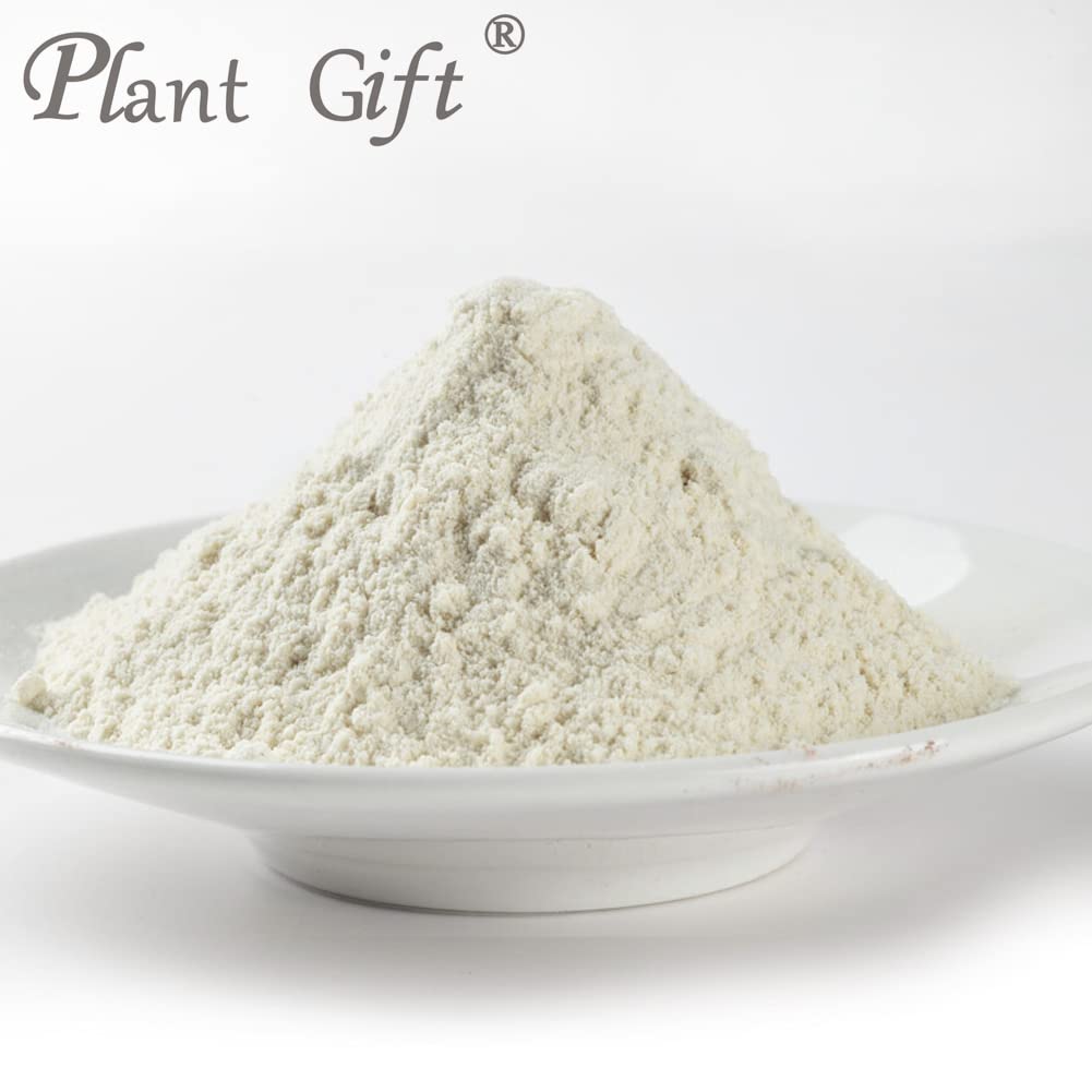 Plant Gift Euryales Semen Powder 3.53 oz