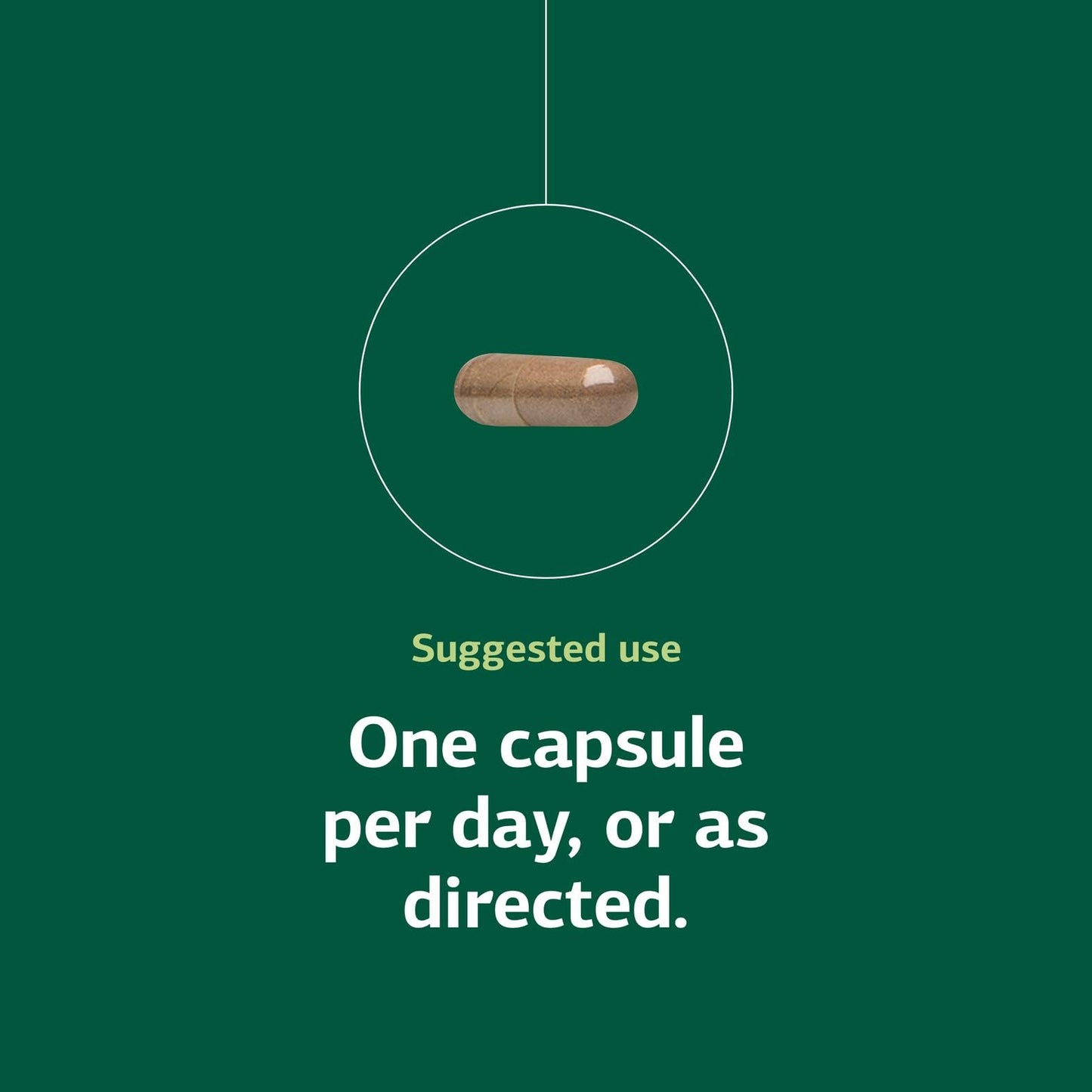 Standard Process Inc. OPC Synergy Capsule 40 Count