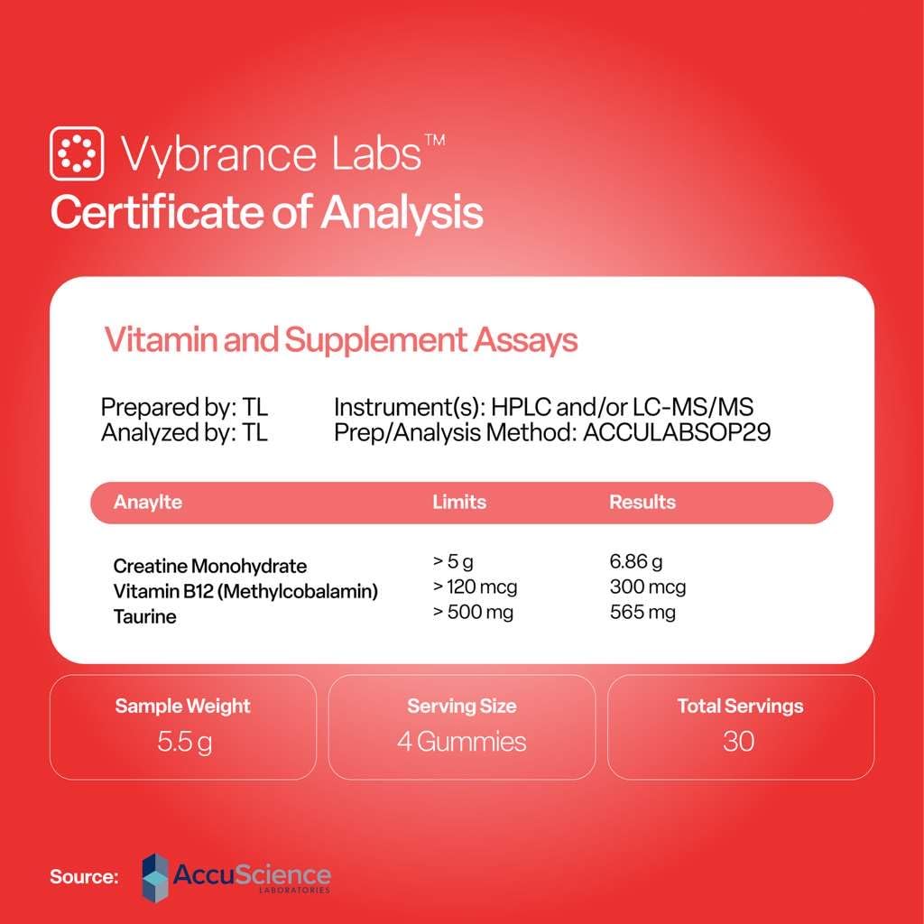 VYBRANCE LABS Creatine Monohydrate Gummies 120 Count