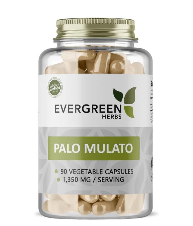 Evergreen Herbs Palo Mulato Capsules 1350 mg per Serving (450 mg Each Capsule) 90 Count