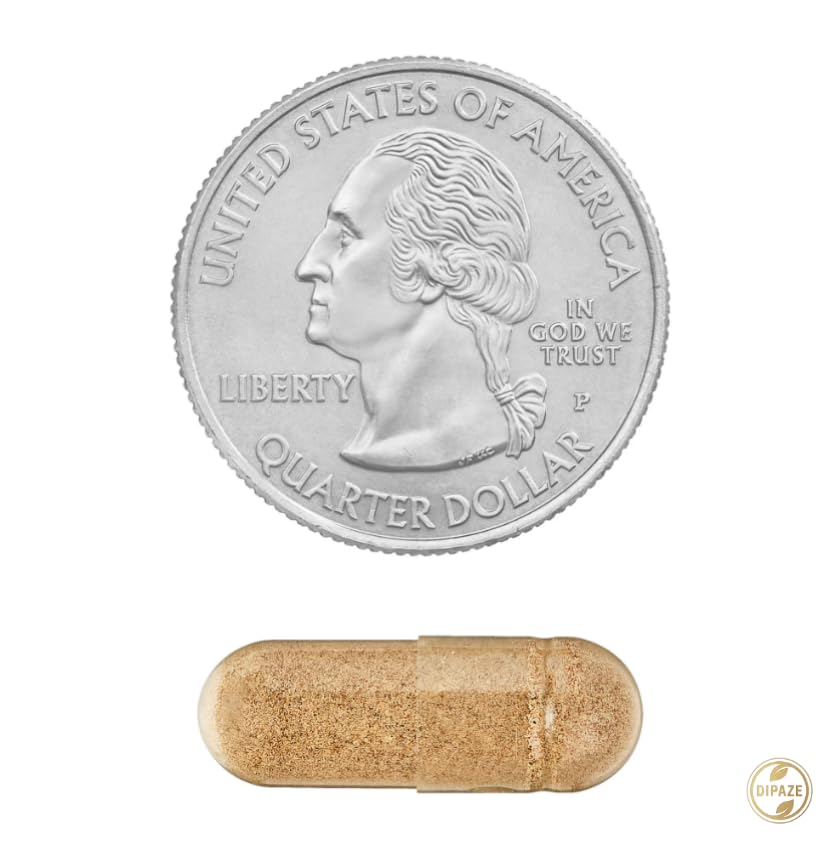 Dipaze Echinacea Capsule, 760 mg, 100 Count