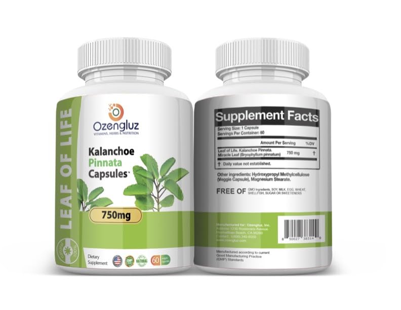 Ozengluz Kalanchoe Pinnata-Leaf of Life (Bryophyllum Pinnatum) 750 mg Capsule, 60 Count