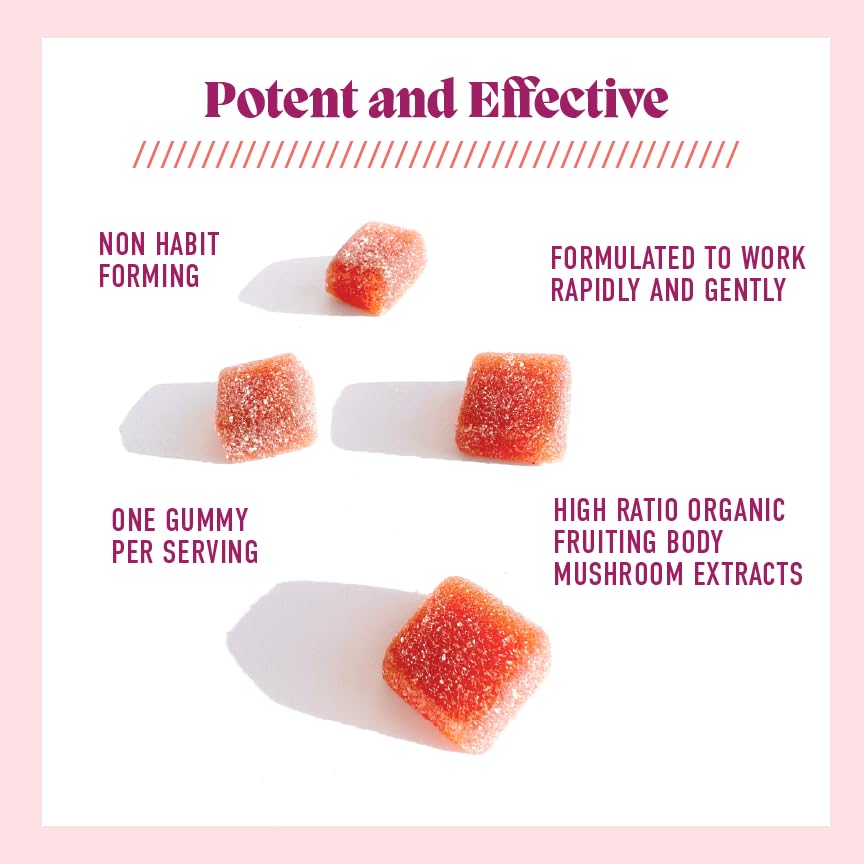 Microjoy Elevate Mood Support Gummies with L-Theanine, Lion’s Mane, 5-HTP & B6 – 30 Gummies