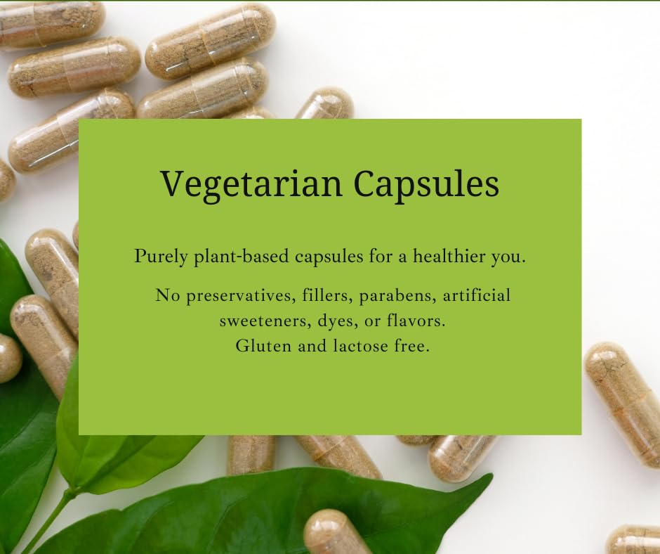 BH Herbal Solutions Panic Support Capsule 60 Count