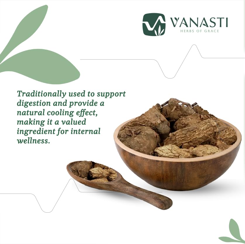 VANASTI Kali Haldi NAR Kachur Narkchaur Curcuma Zerumbet Zedoary Root Black Turmeric Powder 3.52 oz