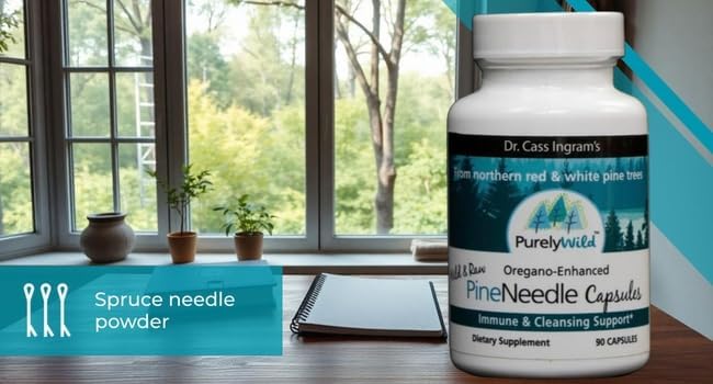 PURELY WILD Wild Pine Needle Capsules with Spruce, Black Cumin & Oregano, Immune Support & Respiratory Wellness, 90 Capsules