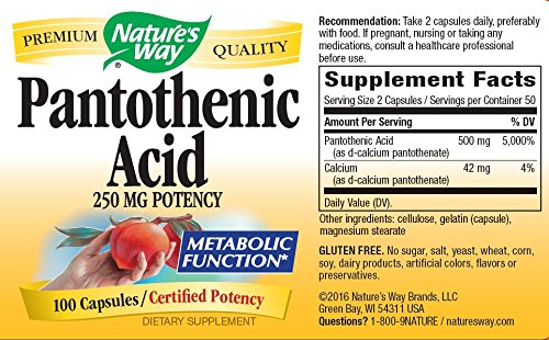Nature's Way Pantothenic Acid 250 Milligrams Potency, 300 Capsules
