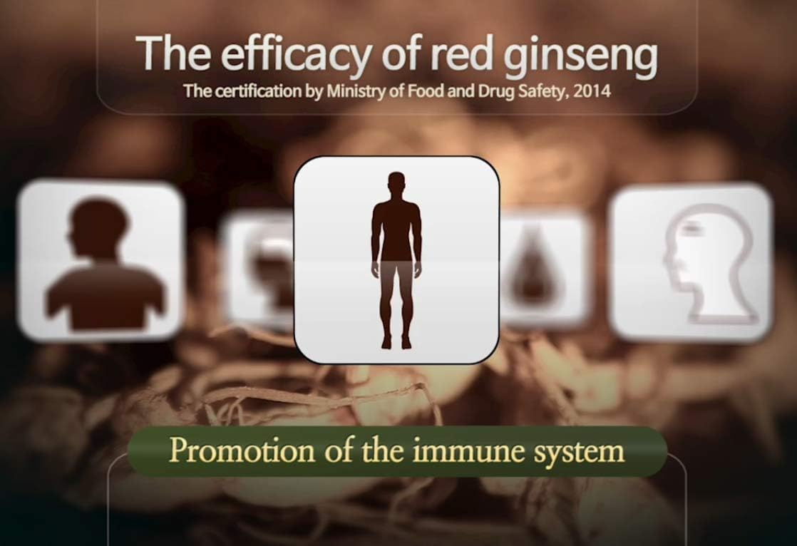 Xebec Korean Red Ginseng 300mg Tablets, 200 Count