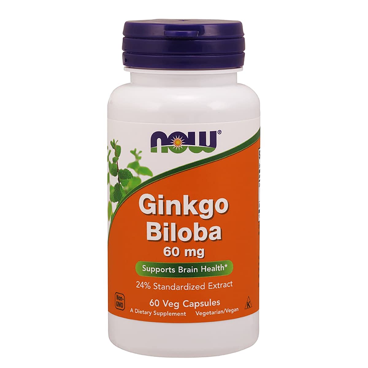 NOW Foods Ginkgo Biloba 60mg Capsule 1 Count