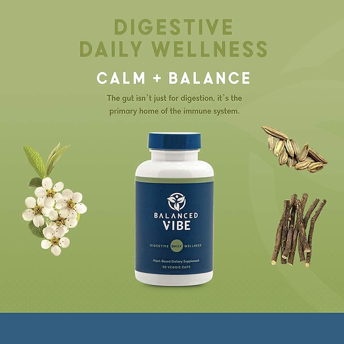 Balanced Vibe Brain+Gut Health Axis, 90 Capsules