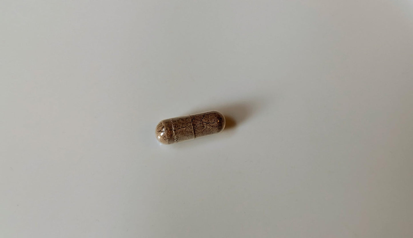 Vitalité Now! Extra Strength Mullein Capsules 100% Whole Herb 10:1 Extract, 120 Count