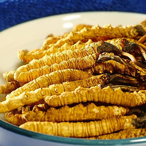 Generic Cordyceps Sinensis Powder 800