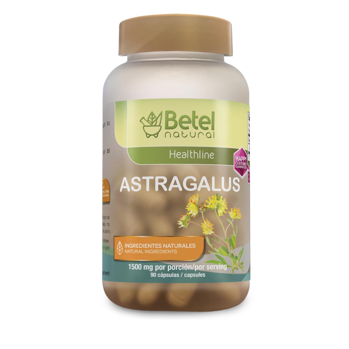 Betel Natural Premium Astragalus Herb Extract Immune and Antioxidant Support Herbal Supplement - 1500 mg Per Serving - 90 Capsules