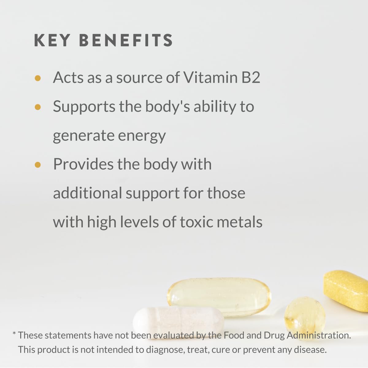Holistic Health Mineral Maintenance Capsule 100 Capsules