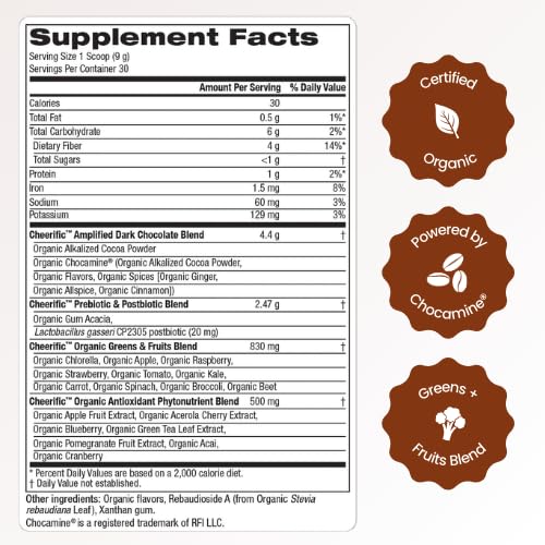 Cheerific Dark Chocolate Superfood Powder, 9.52 oz
