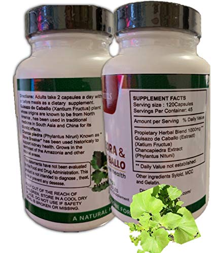 Chanca Piedra & Guisazo de Caballo Organic Vitamins Capsules, 120 Count