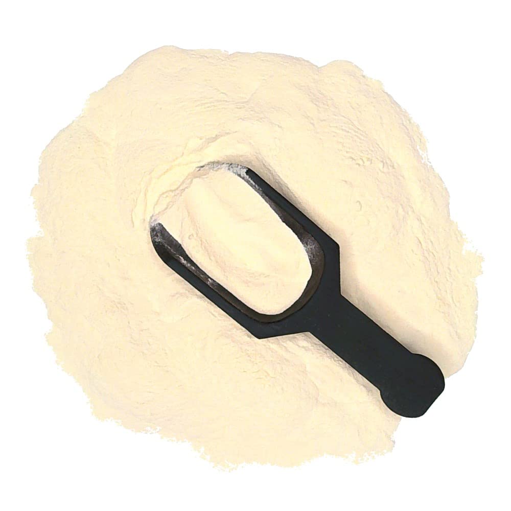 bodi Panax American Ginseng Root Powder, 4 oz