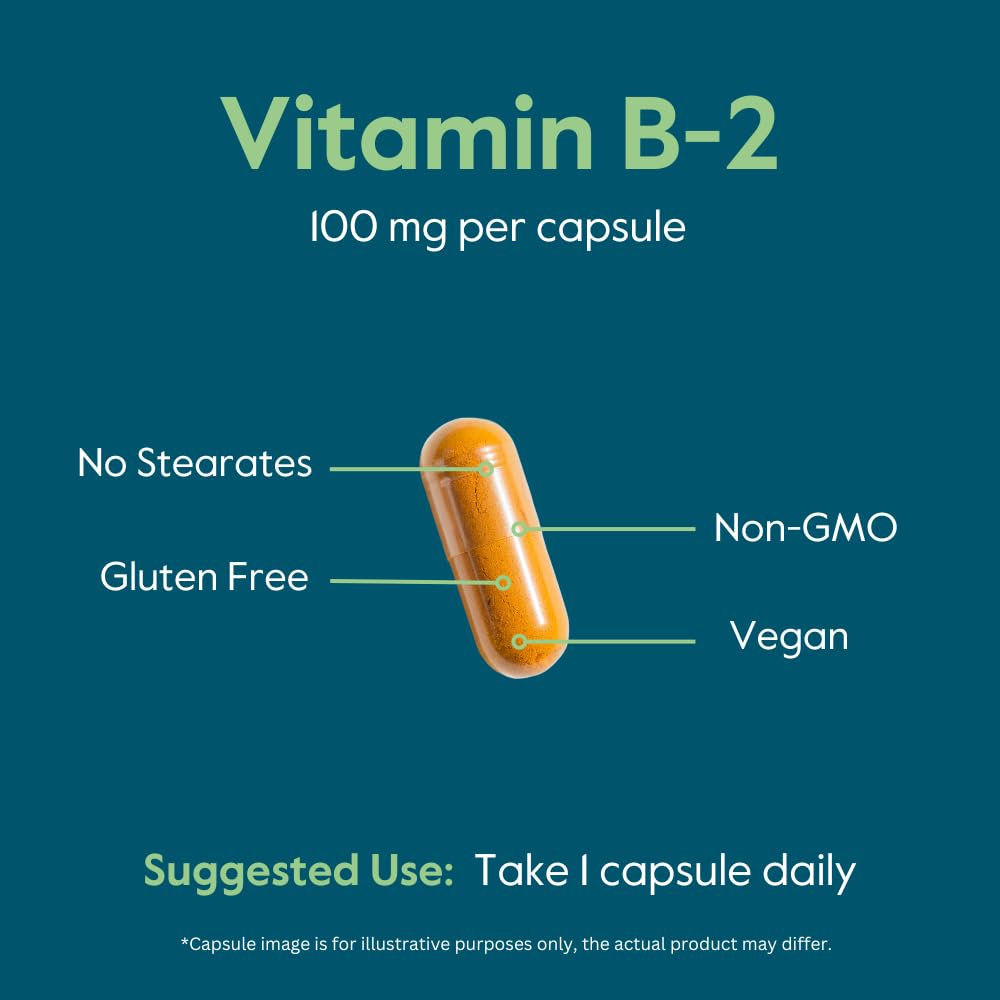 BESTVITE Vitamin B-2 100mg Capsules 240 Count